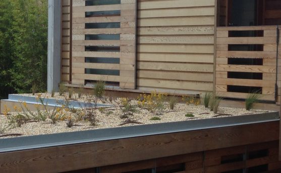 Living & Green Roof Waterproofing